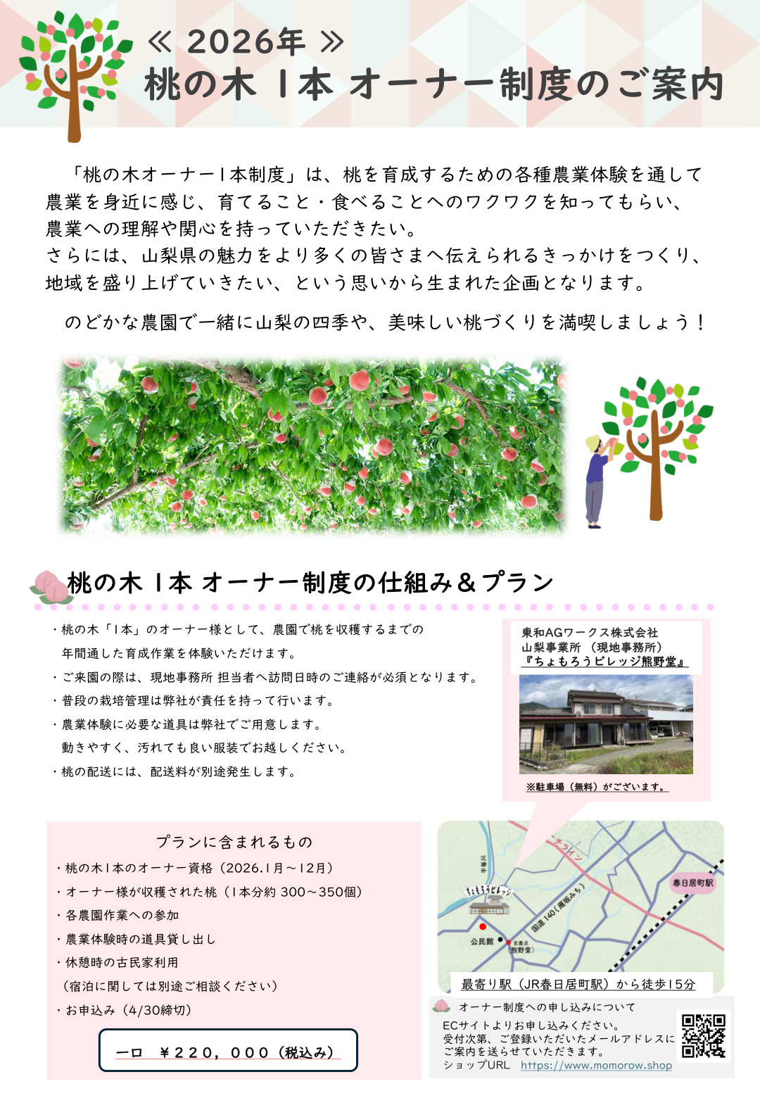 桃の木1本オーナー チラシ 1ページ目