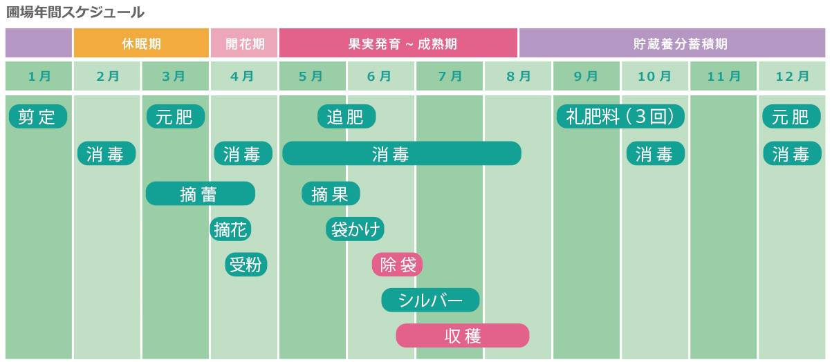 圃場年間スケジュール